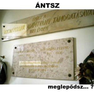 ANTSZ_300